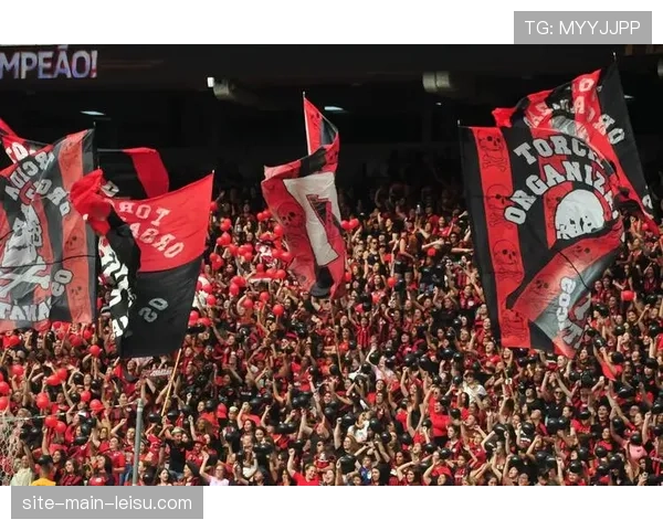 雨战中的意志：法兰克福球迷在客场高歌助威